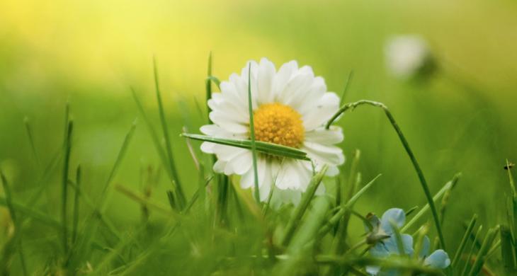 Natural Products